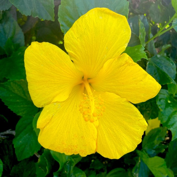 Meet the Posher Other - Meet your Posher, Ruth